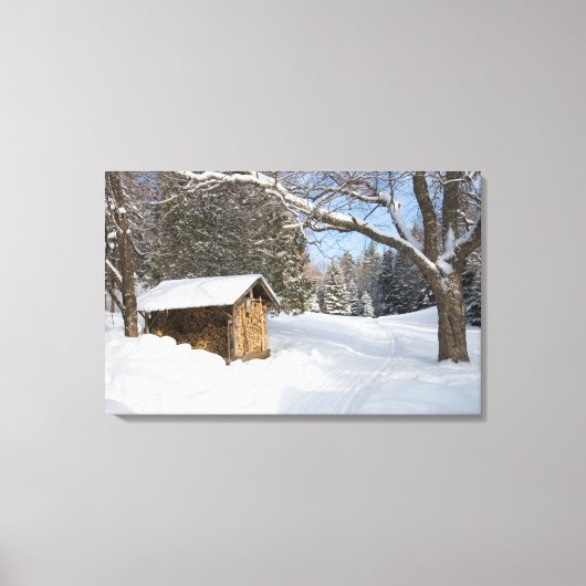 AMCのリトルリフォード池の雪景色 キャンバスプリント (正面)