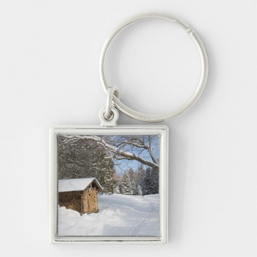 AMCのリトルリフォード池の雪景色 キーホルダー (正面)