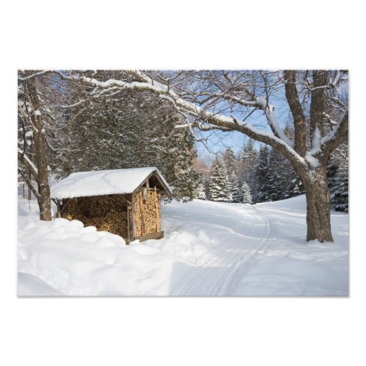 AMCのリトルリフォード池の雪景色 フォトプリント            (正面)