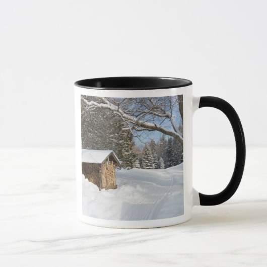 AMCのリトルリフォード池の雪景色 マグカップ (右)