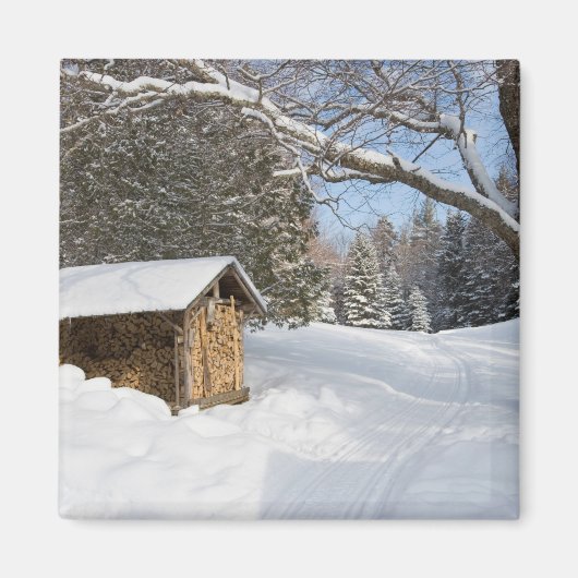 AMCのリトルリフォード池の雪景色 マグネット (正面)