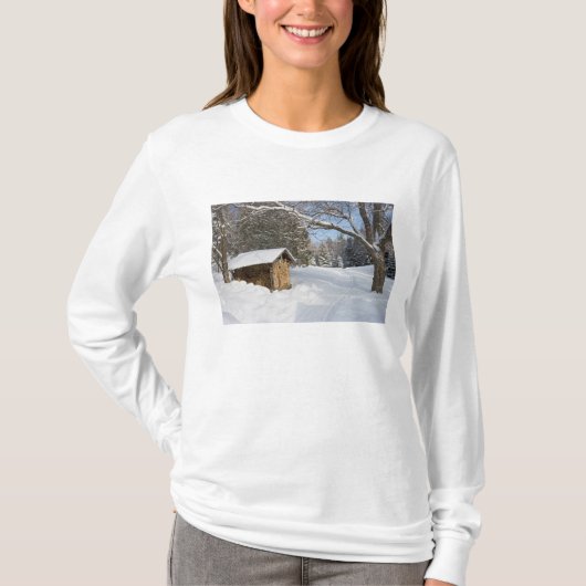 AMCのリトルリフォード池の雪景色 Tシャツ (正面)