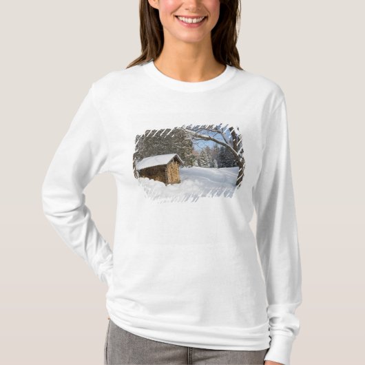 AMCのリトルリフォード池の雪景色 Tシャツ (正面)