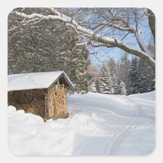 AMCのリトル・リフォード池の雪景色 スクエアシール (正面)