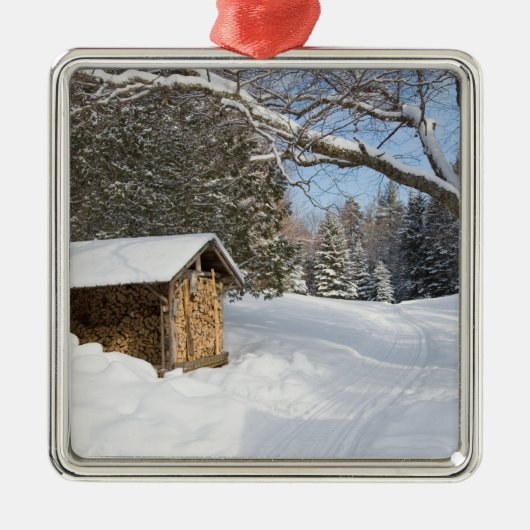 AMCの少しLyfordの池の雪が多い場面 メタルオーナメント (正面)