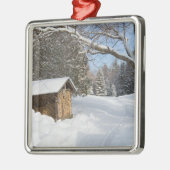 AMCの少しLyfordの池の雪が多い場面 メタルオーナメント (左)
