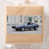 AMCジャベリンSST 1974 ラベル (インサイチュ)