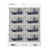 AMCジャベリンSST 1974 ラベル (フルシート)