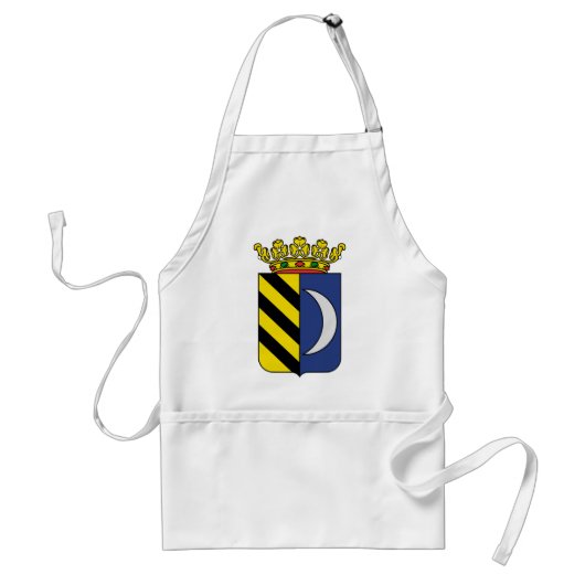Amelandのオランダ スタンダードエプロン (正面)