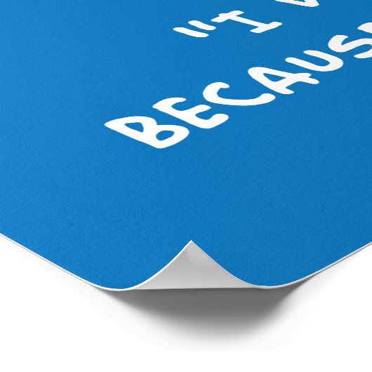 Amelia Earhart poster ポスター (角)