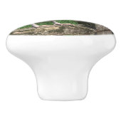 Ameraucanaの鶏の顔の右ノブのプル セラミックノブ (側面)