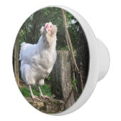 Ameraucanaの鶏の顔の右ノブのプル セラミックノブ (右)