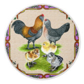 Ameraucanaファミリー枠 セラミックノブ (正面)