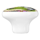 Ameraucanaファミリー枠 セラミックノブ (側面)