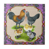 Ameraucanaファミリー枠 タイル (正面)