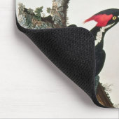 「Americaの鳥からのアイボリー勘定書を出されたキツツキ、 マウスパッド (コーナー)