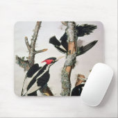 「Americaの鳥からのアイボリー勘定書を出されたキツツキ、 マウスパッド (マウス)