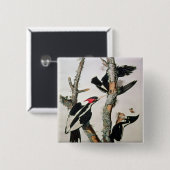 「Americaの鳥からのアイボリー勘定書を出されたキツツキ、 缶バッジ (正面&裏面)