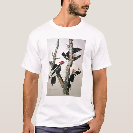 「Americaの鳥からのアイボリー勘定書を出されたキツツキ、 Tシャツ (正面)