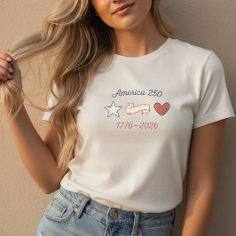 America 250 Anniversary トライブレンドＴシャツ