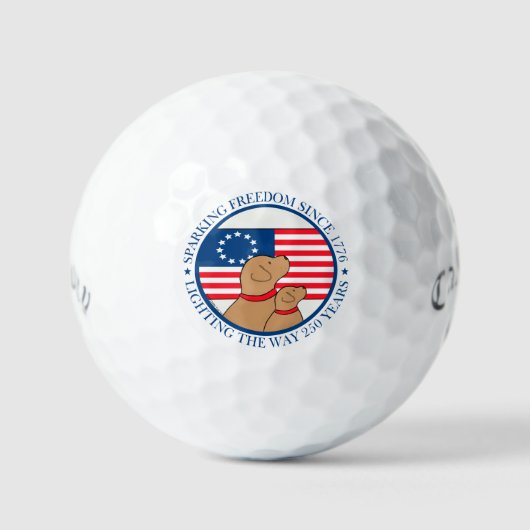 America 250 Sparking Freedom ゴルフボール (正面)