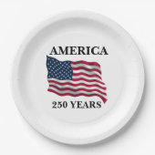 America 250 Years Flag ペーパープレート (正面)