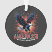 America 250th Anniversary オーナメント (裏面)