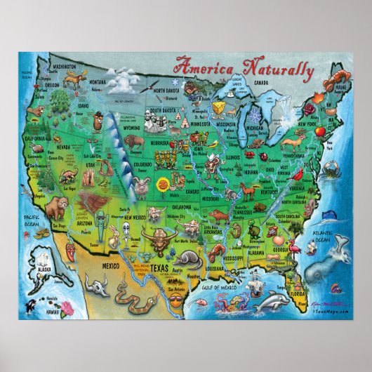 America Naturally Fun Map ポスター (正面)