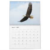 America Turns 250 2026 Semiquincentennial Calendar カレンダー (3月 2027)
