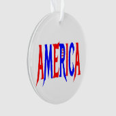 AMERICA USA赤と青 オーナメント (正面)