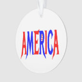 AMERICA USA赤と青 オーナメント (正面)