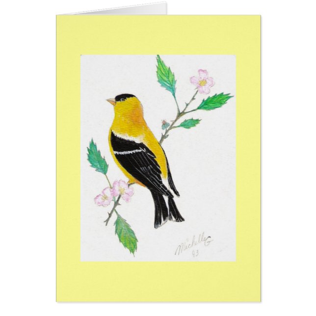 americamのgoldfinch (正面)