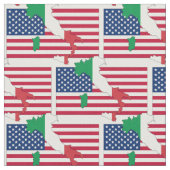 AMERICAN イタリアン Flag Mapのアウトライン ファブリック (クローズアップ)