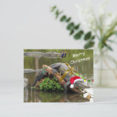 American Alligator Christmas Postcard ポストカード (スタンド正面)