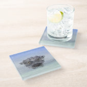 American Alligator – Lake Apopka Wildlife Drive ガラスコースター (アングル)