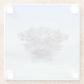 American Alligator – Lake Apopka Wildlife Drive ガラスコースター (裏面)