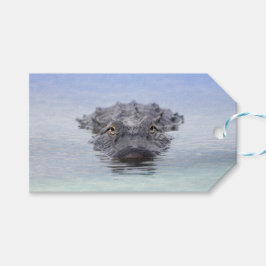 American Alligator – Lake Apopka Wildlife Drive ギフトタグ