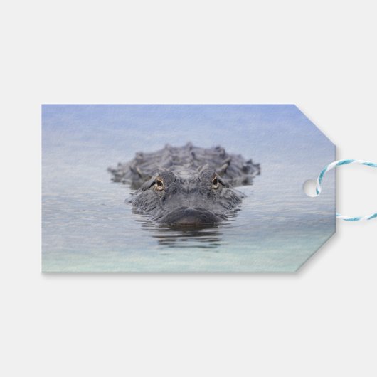 American Alligator – Lake Apopka Wildlife Drive ギフトタグ (正面(横))