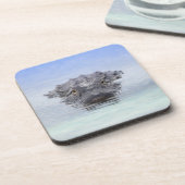 American Alligator – Lake Apopka Wildlife Drive コースター (左側)