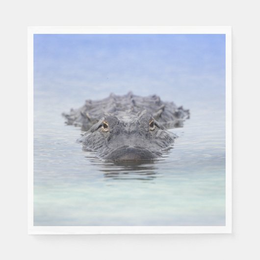 American Alligator – Lake Apopka Wildlife Drive スタンダードランチョンナプキン (正面)