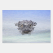 American Alligator – Lake Apopka Wildlife Drive ラッピングペーパーシート (正面2)