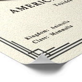 American Badger Zoology Series ポスター (角)