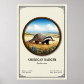 American Badger Zoology Series ポスター (正面)
