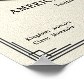 American Badger Zoology Series ポスター (角)