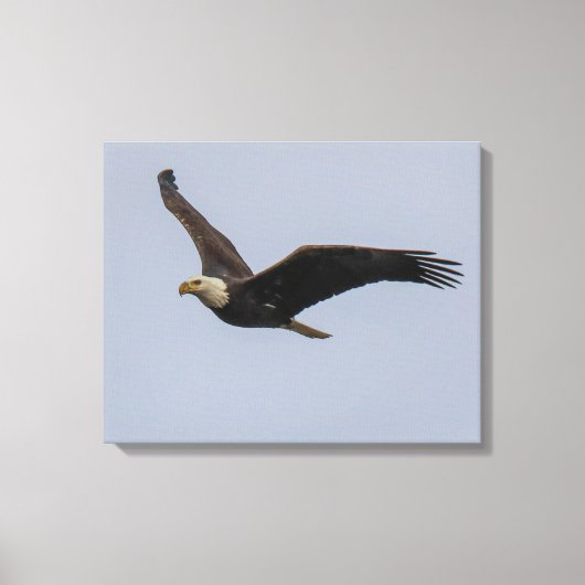 American Bald Eagle In Flight キャンバスプリント (正面)