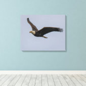 American Bald Eagle In Flight キャンバスプリント (インサイチュ (ウッドフロア))
