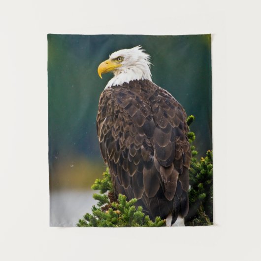 American Bald Eagle Perched タペストリー (正面)