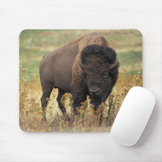 American bison マウスパッド (マウス)