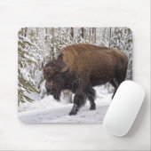 American Bison (Bison bison)マウスパッド マウスパッド (マウス)