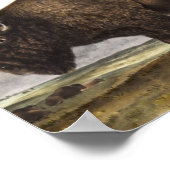American Bison (Bos Americanus) Illustration ポスター (角)
